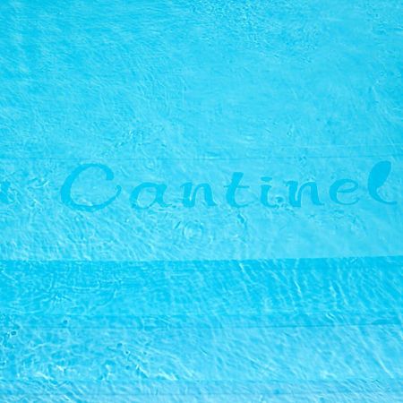 La Cantinella Ostra エクステリア 写真
